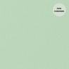 Plain Cotton Canvas Mint